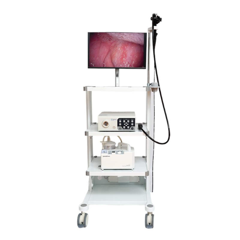 Veterinary gastrointestinal endoscope VET1508GONGJIANG Endoscopy Instruments Co., Ltd